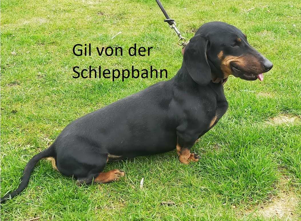 vom Ohnegrund