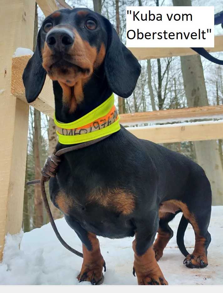 vom Ohnegrund