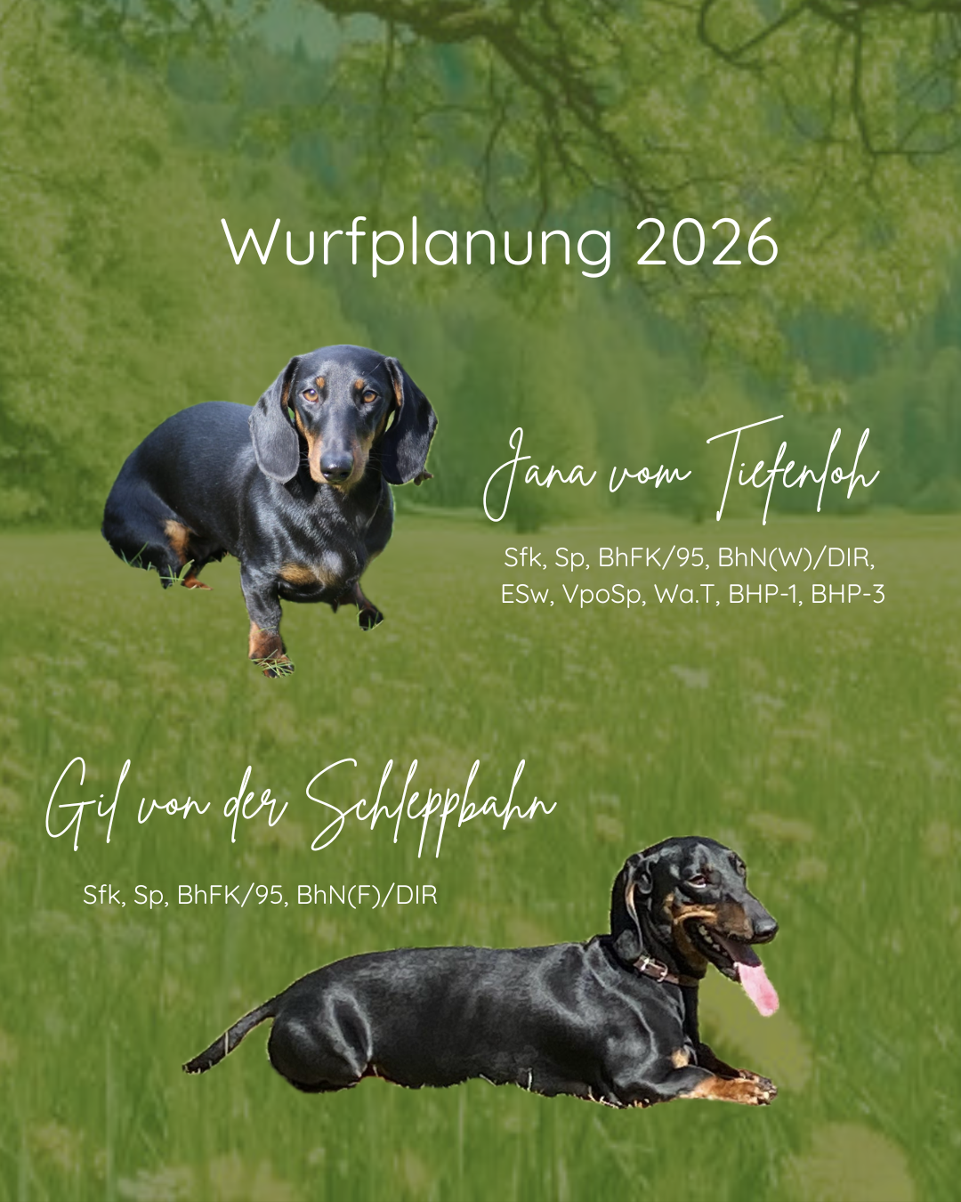 vom Tiefenloh